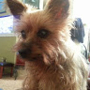 Meet your Posher, Cheryl